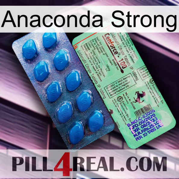 Anaconda Strong new02.jpg